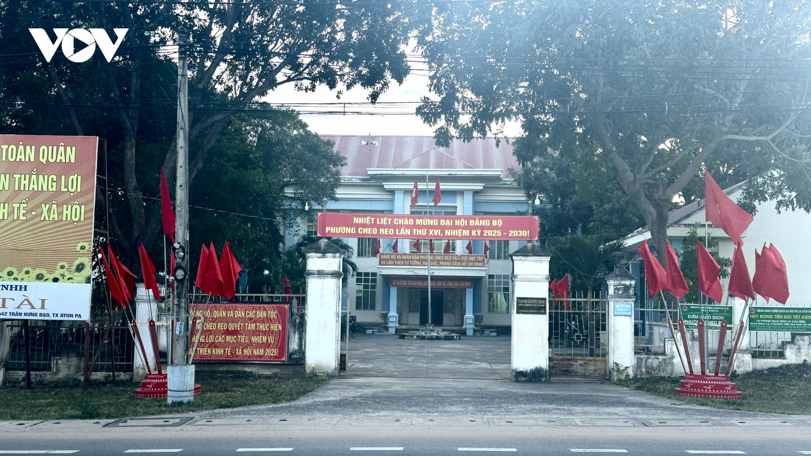 Vụ hàng loạt cây gỗ lớn bị cưa bán ở Gia Lai: Nếu vi phạm, chuyển công an xử lý