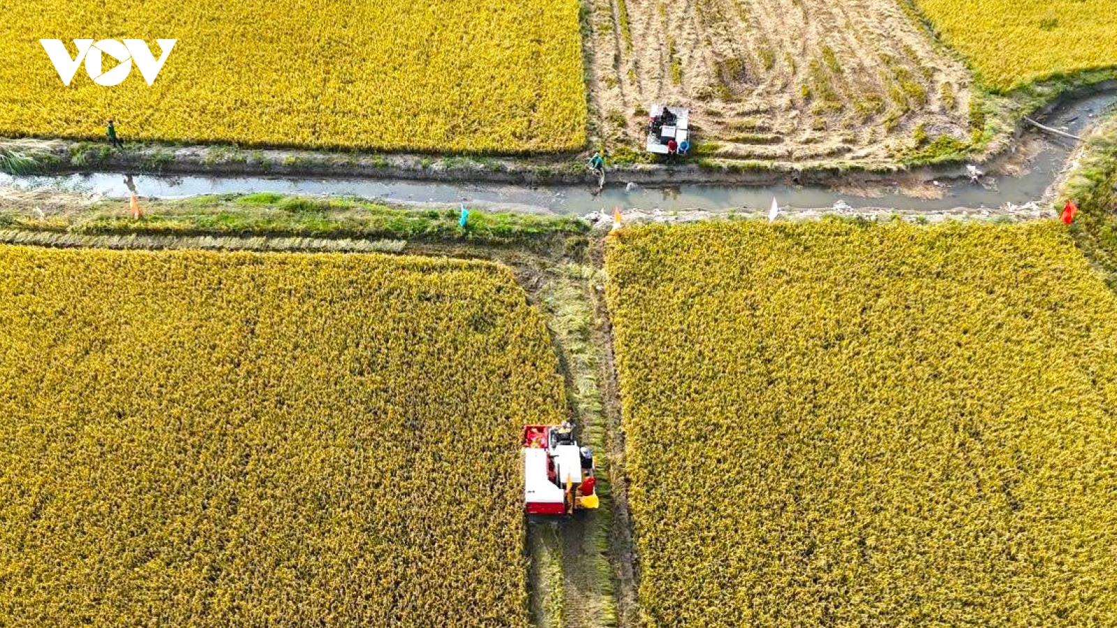 ĐBSCL kiến tạo cực tăng trưởng mới sau sáp nhập để vươn mình ra biển lớn