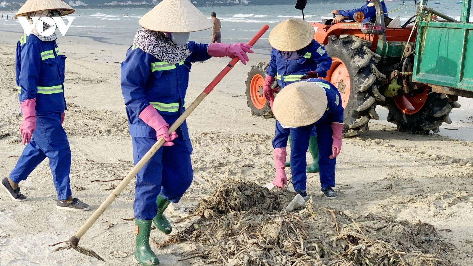 Đà Nẵng thu gom rác tại các bãi biển