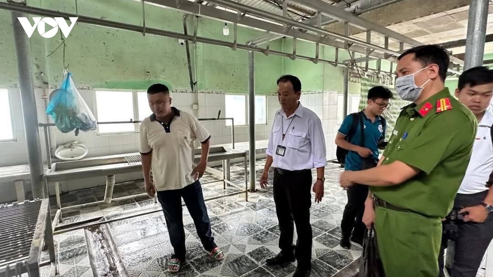 Vụ C.P bị tố bán heo bệnh: Kỷ luật cảnh cáo cán bộ thú y đóng dấu kiểm dịch sai