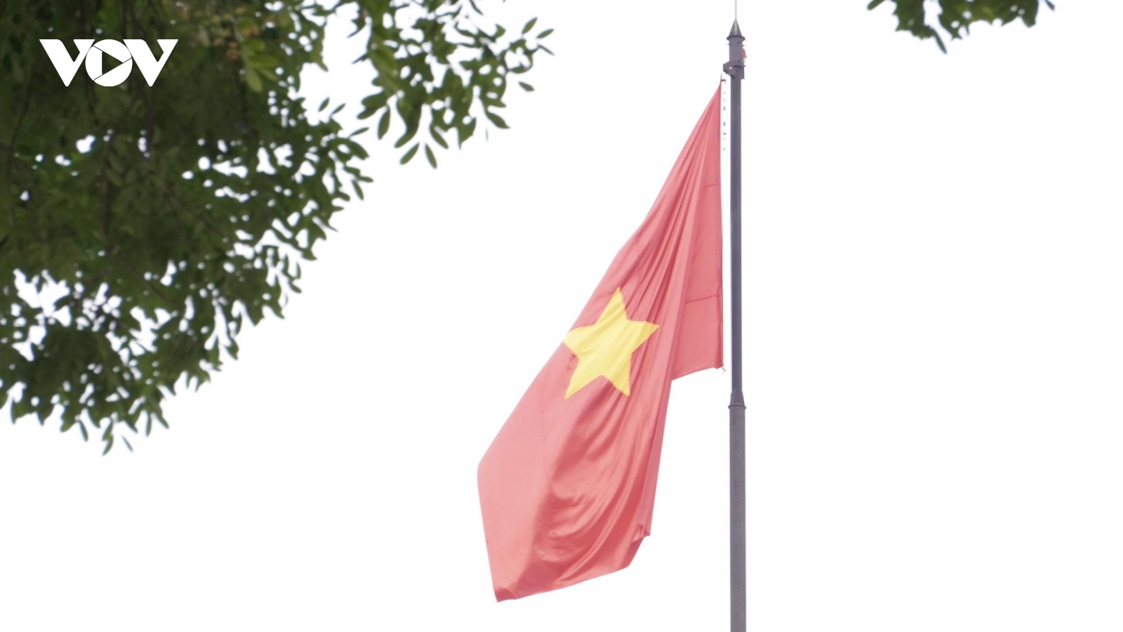 Đất chè Thái Nguyên rực rỡ cờ hoa chào đón sự kiện lịch sử