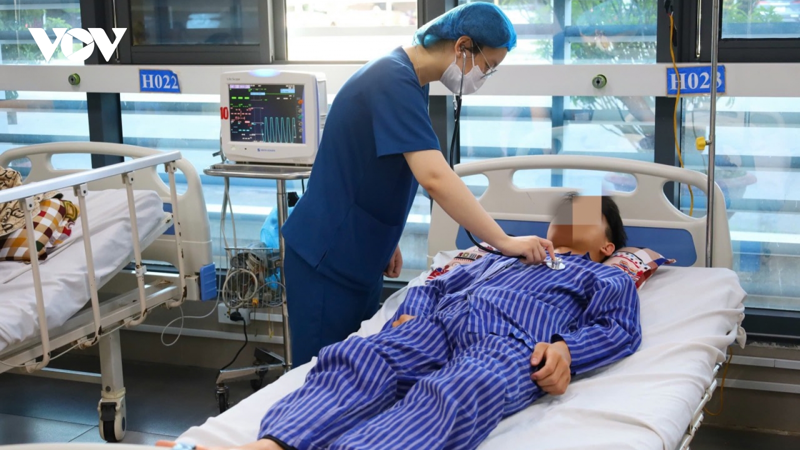 Hái nấm rừng ăn, 4 người trong một gia đình phải nhập viện cấp cứu
