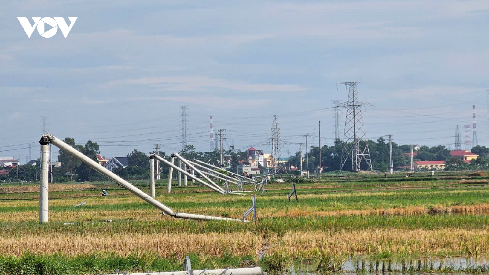 Dông lốc quật gãy hàng loạt cột điện ở Thanh Hóa