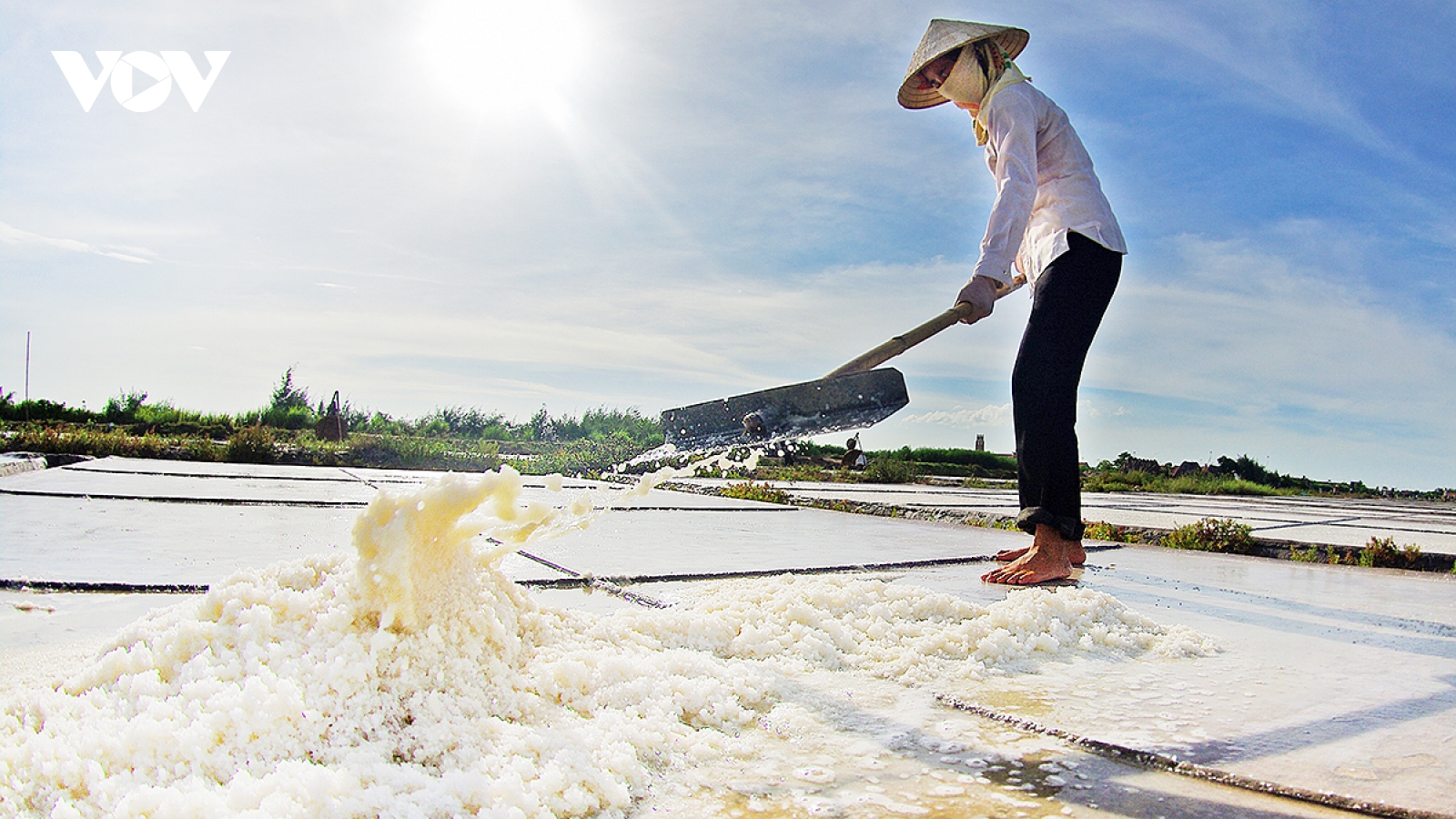 Mặn mòi những giọt mồ hôi của diêm dân trên cánh đồng muối Hải Lý, Hải Hậu, Nam Định