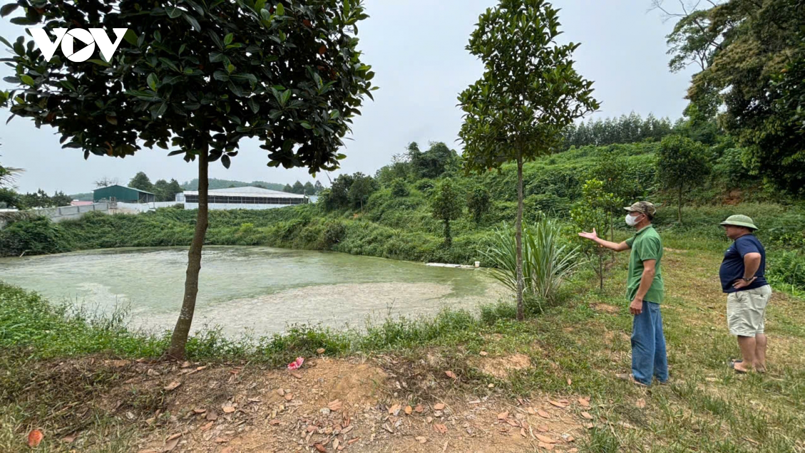 Dân tố trại lợn “bức tử” người sống, xâm lấn nghĩa trang