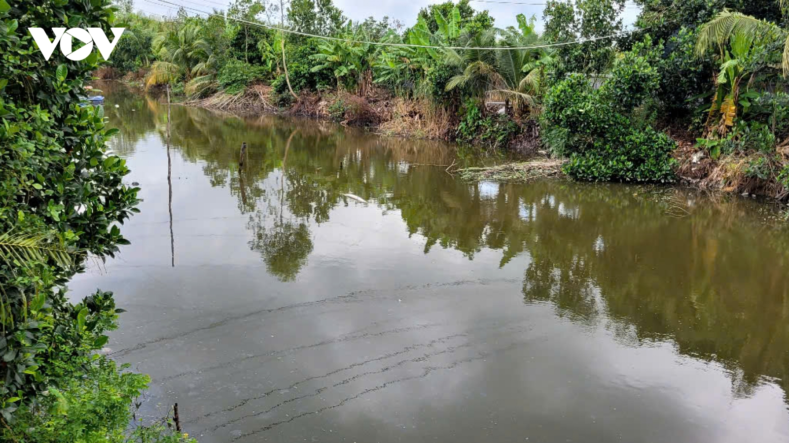 Sau vụ “dòng nước đen” sẽ xử phạt hộ đổ vỏ trái cây sai quy định tại Tiền Giang.