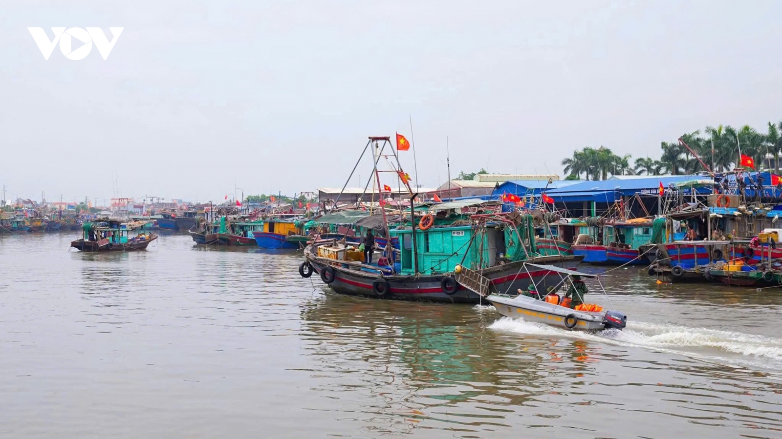 Hải Phòng cấm biển, khẩn trương kêu gọi, sắp xếp phương tiện vào nơi tránh trú