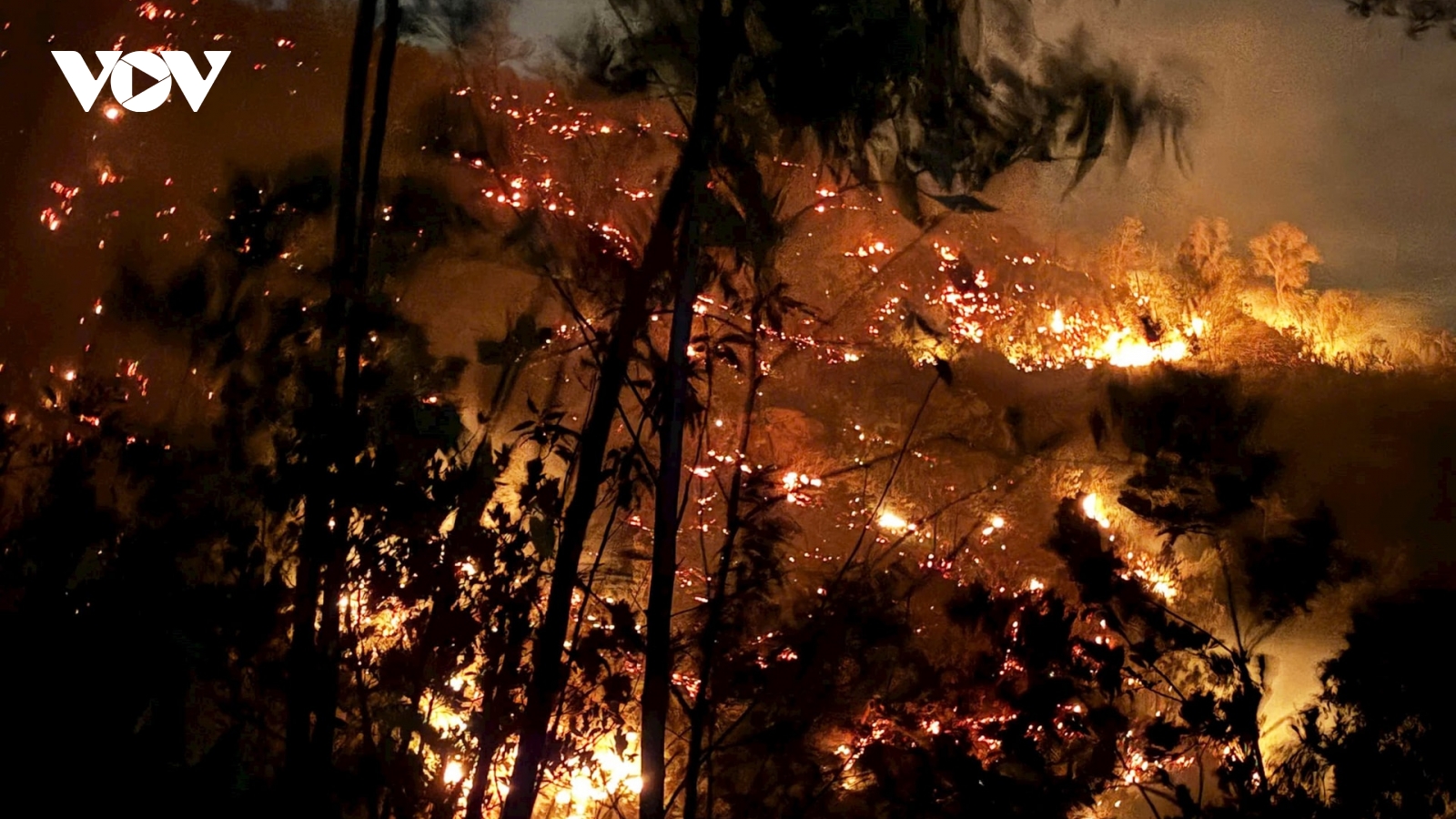 Gần 100 người xuyên đêm khống chế đám cháy rừng keo hơn 10 hecta