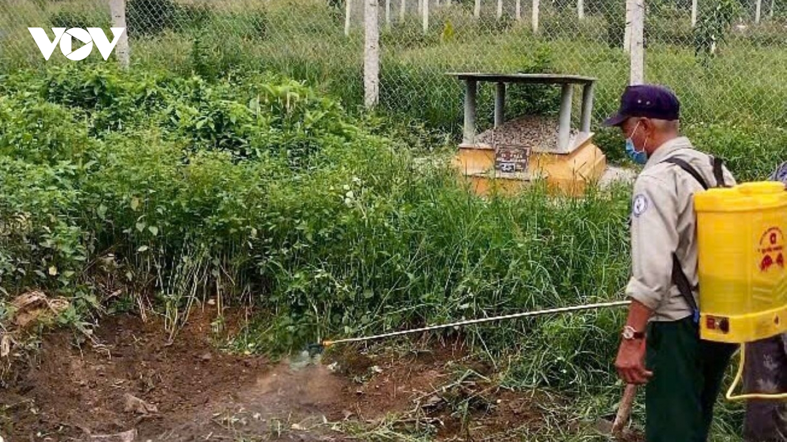 Kiểm tra đột xuất lò mổ ban đêm sau khi ghi nhận 33 ca mắc liên cầu khuẩn lợn ở Huế