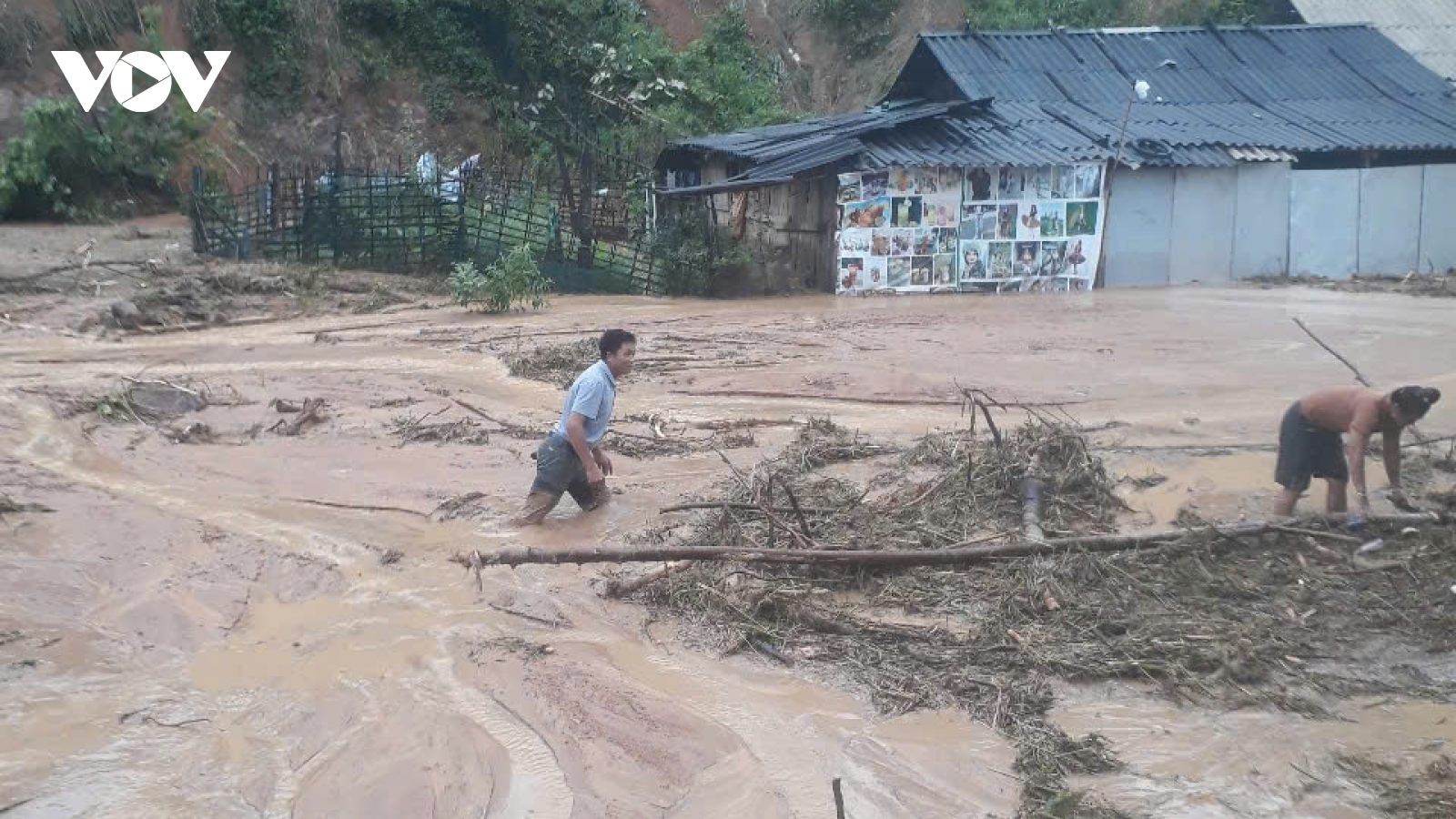 Tan hoang cảnh gia súc bị vùi lấp, nhà cửa đổ sập ở xã Chiềng Sơ và Mường Lầm