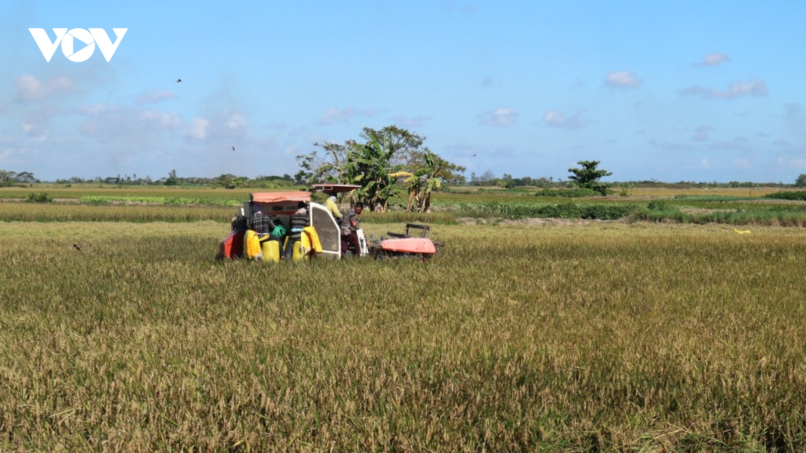 Nâng “chất” doanh nghiệp tư nhân, kỳ vọng sự bứt phá từ thể chế