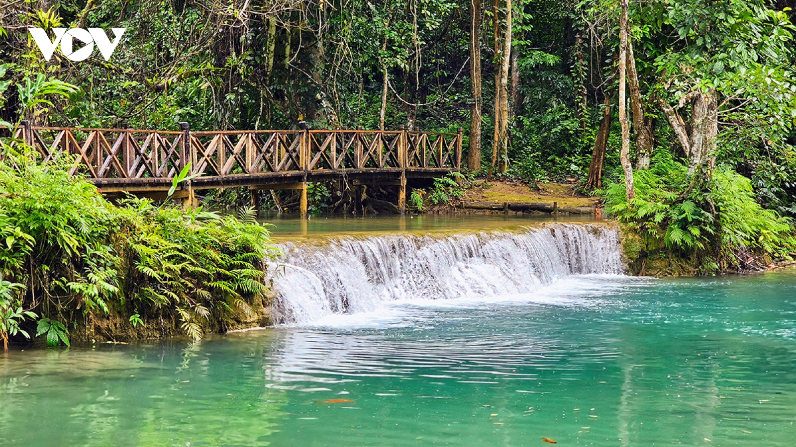 Vẻ đẹp của Kuang Si - thác nước quyến rũ nhất ở Lào