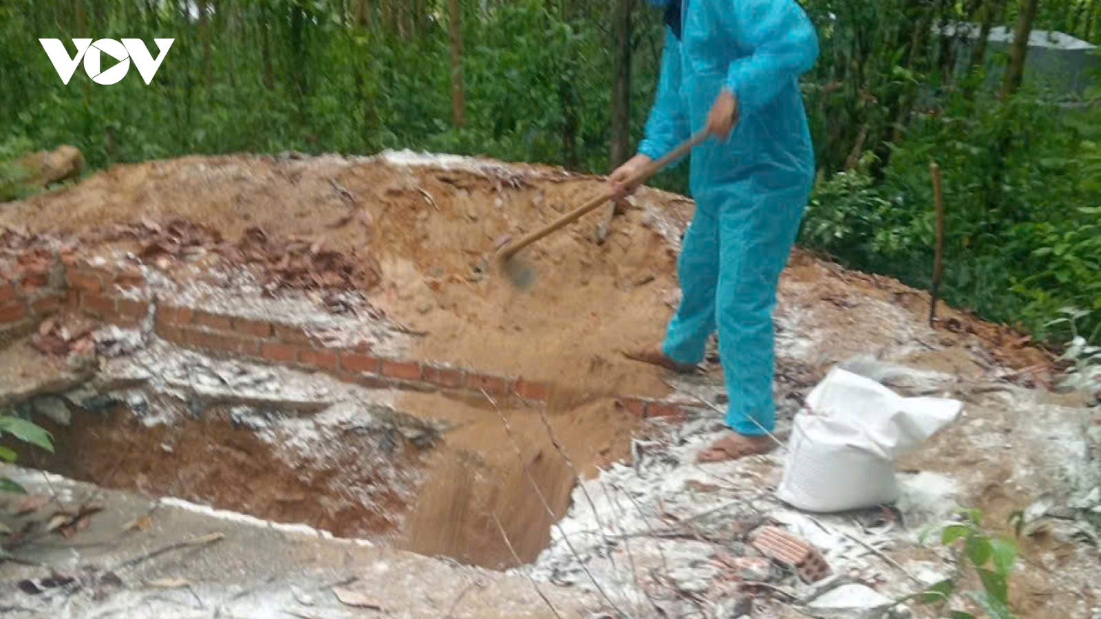 Quảng Ngãi phân bổ hơn 7.600 liều vaccine dịch tả heo Châu Phi