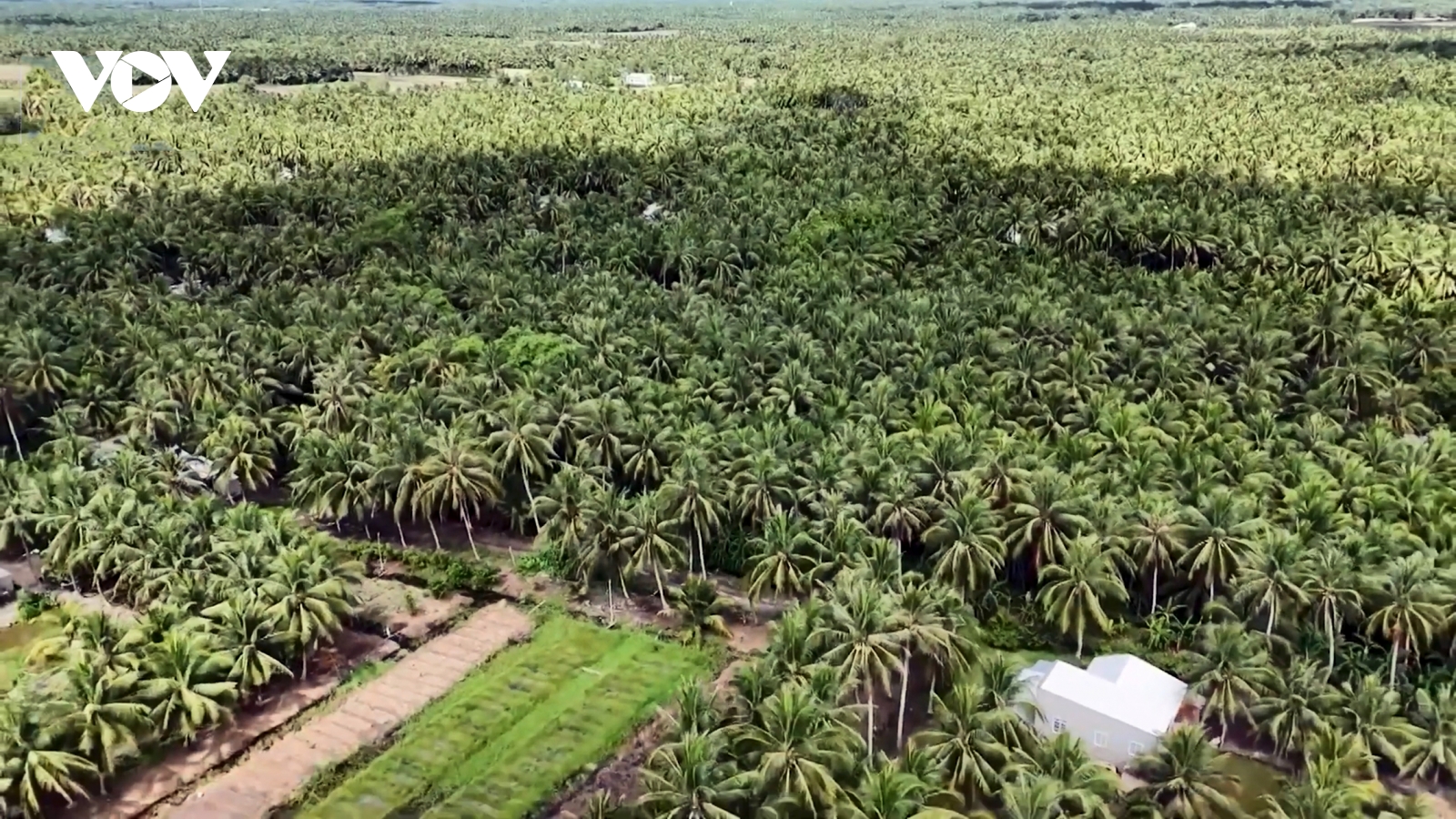 Đưa sản phẩm xanh đến trực tiếp tay người tiêu dùng