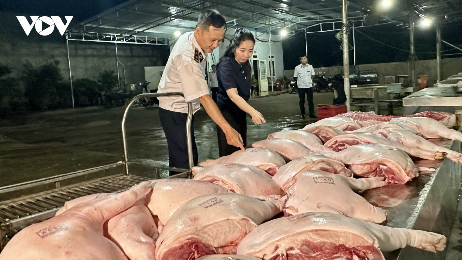 Đắk Lắk tăng cường phòng, chống dịch tả lợn châu Phi từ các cơ sở giết mổ