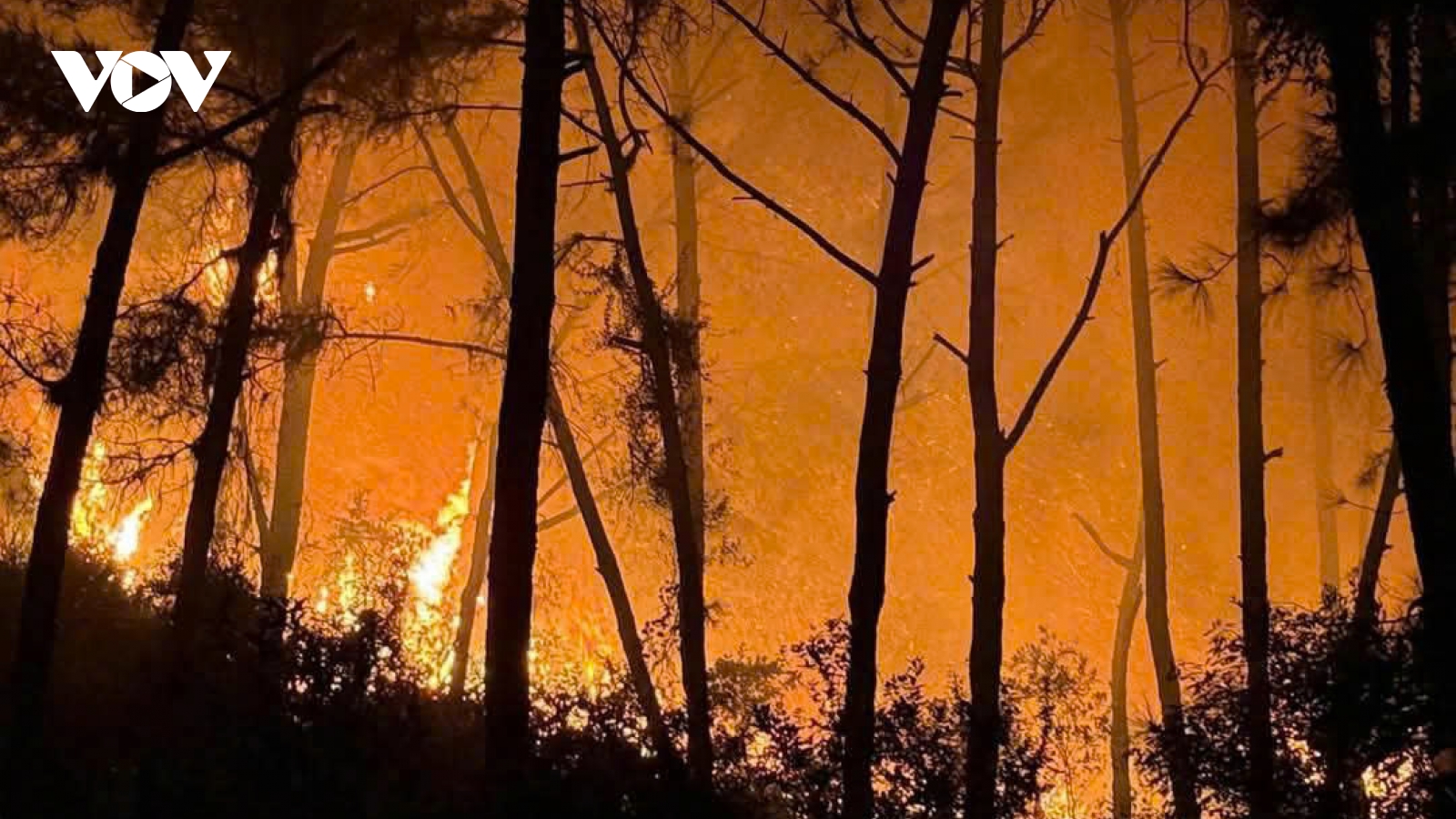 Hàng trăm người xuyên đêm dập tắt đám cháy rừng ở Nghệ An