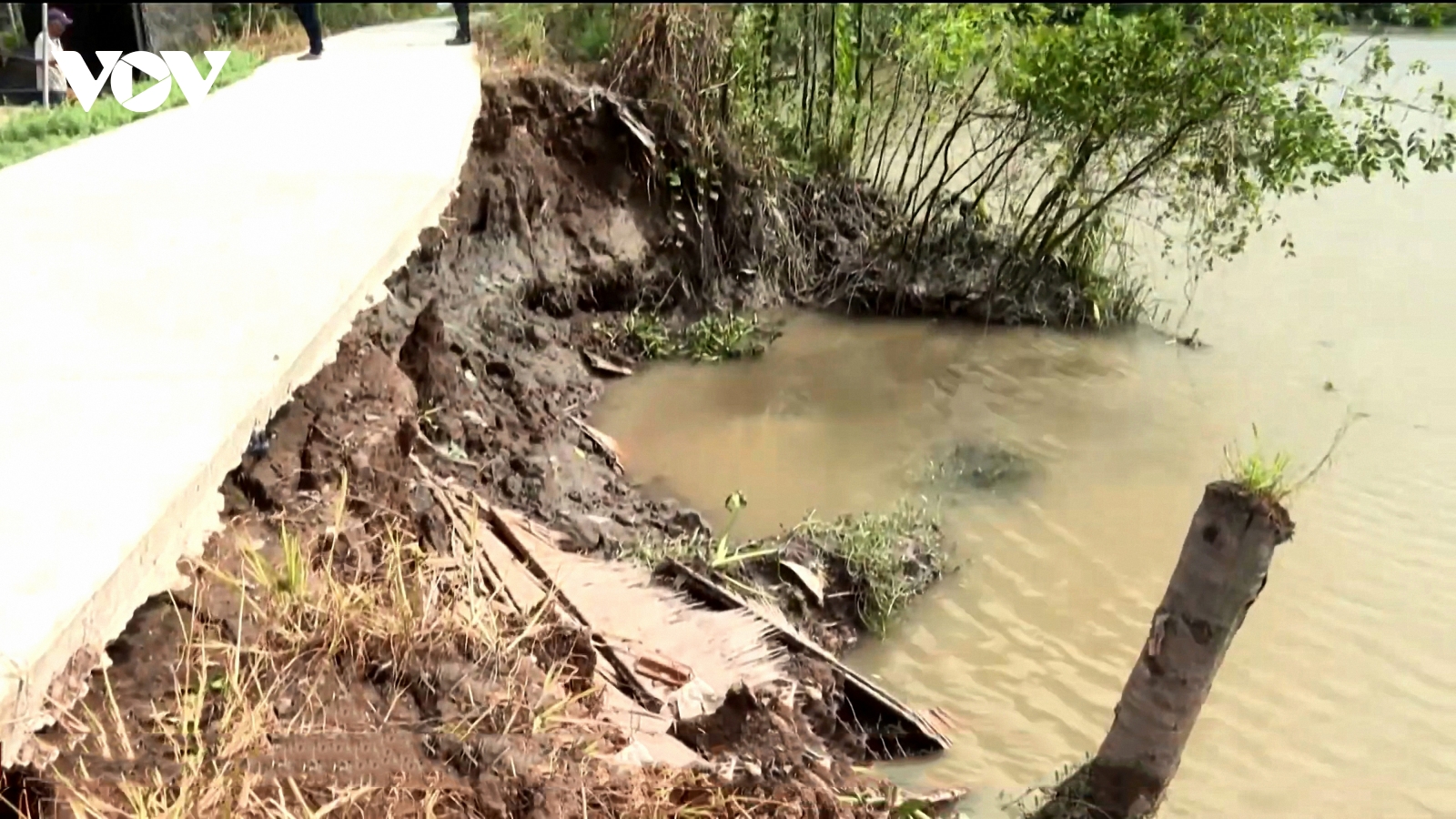 Vĩnh Long tập trung khắc phục các điểm sạt lở nghiêm trọng