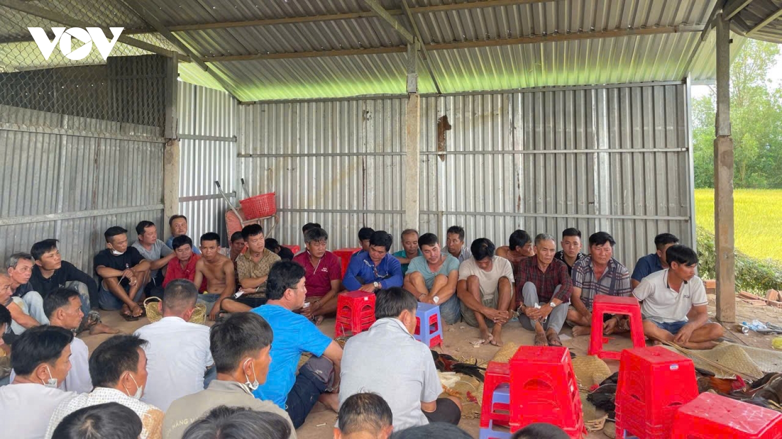 Triệt phá tụ điểm đá gà quy mô lớn, bắt giữ 51 người