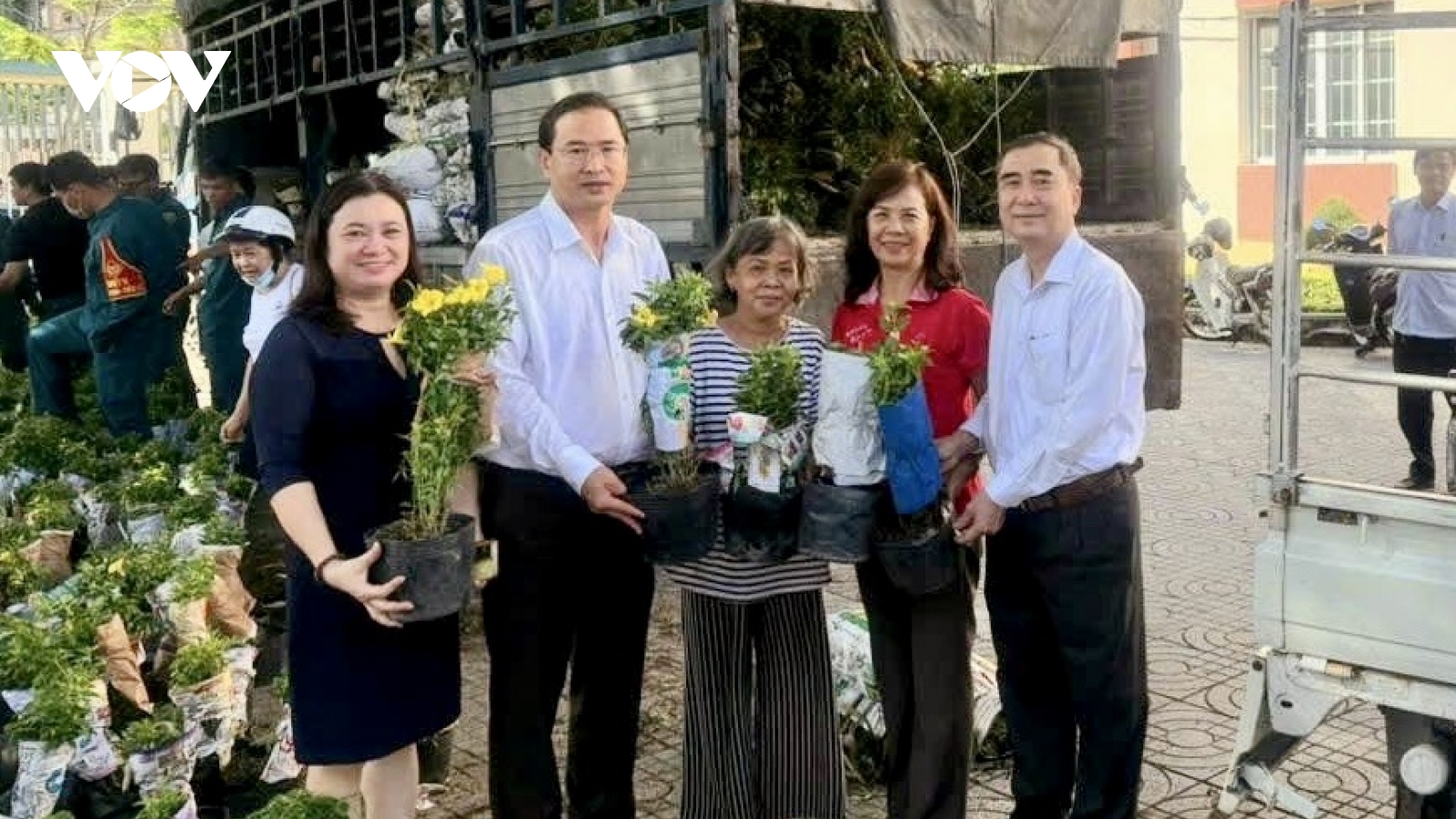 Bí thư phường Vũng Tàu bỏ tiền túi mua hoa từ Đồng Tháp về trồng ở khu phố