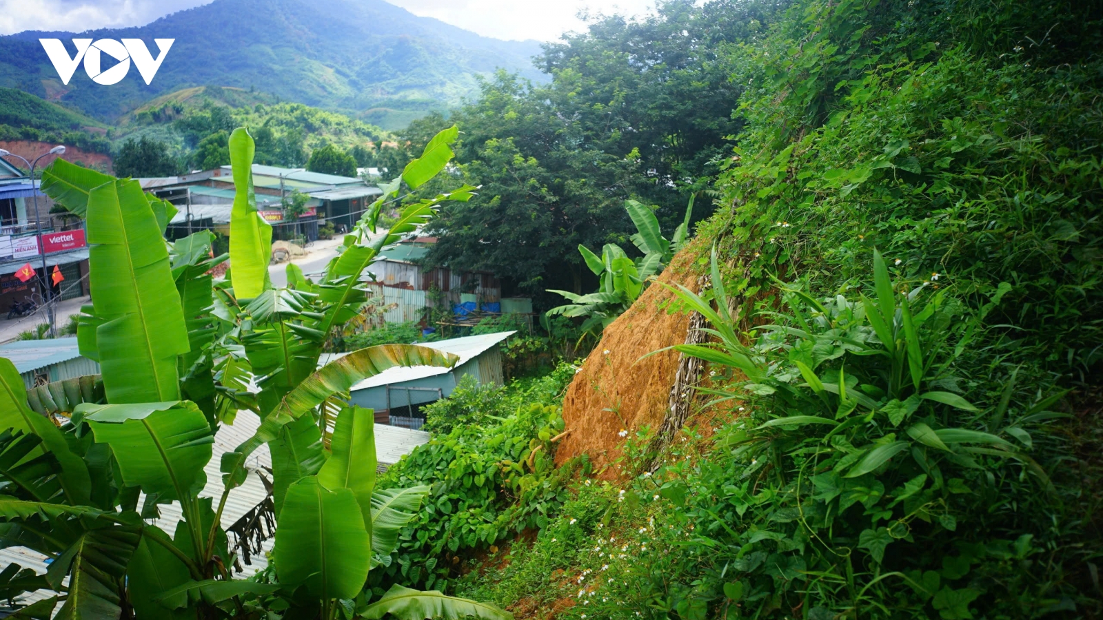 Nỗi lo sạt lở của người dân miền núi Đà Nẵng