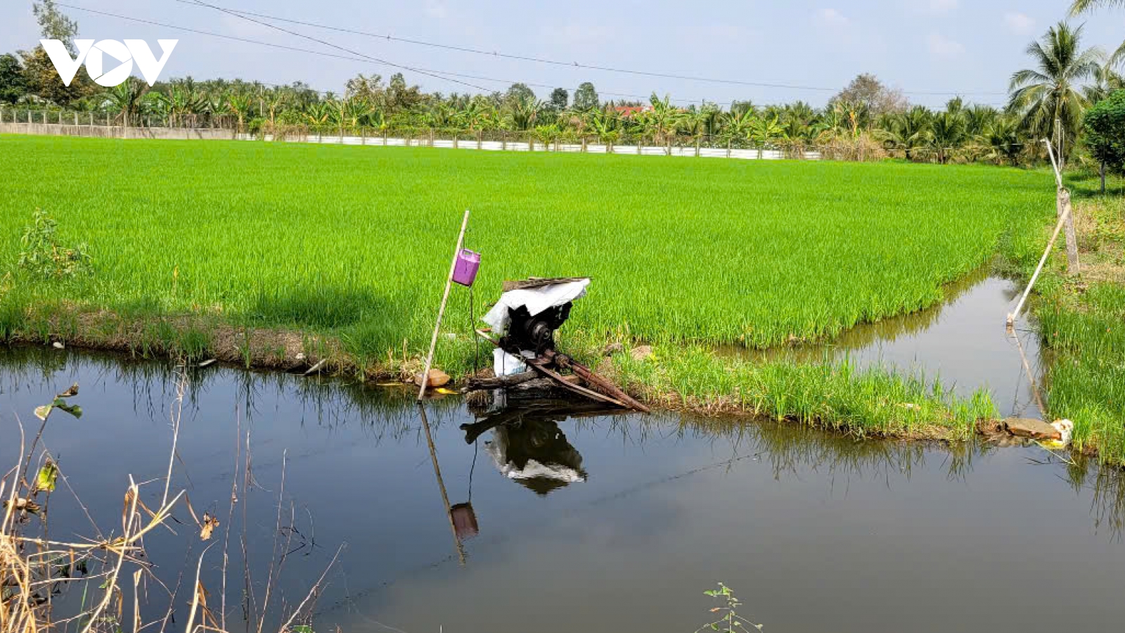 Ngành trồng trọt khu vực phía Nam đứng trước nhiều thời cơ lẫn thách thức