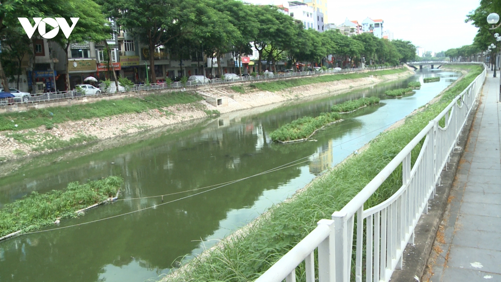 Sông Tô Lịch dần hồi sinh: Cần thêm trách nhiệm từ mỗi người dân