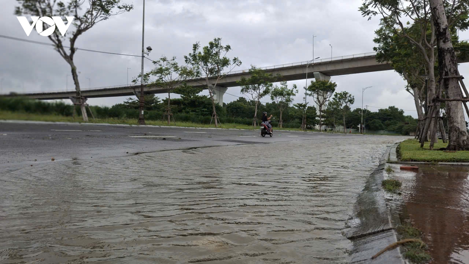 Đà Nẵng thành lập 3 Sở Chỉ huy tiền phương phòng chống bão số 12 và mưa lớn