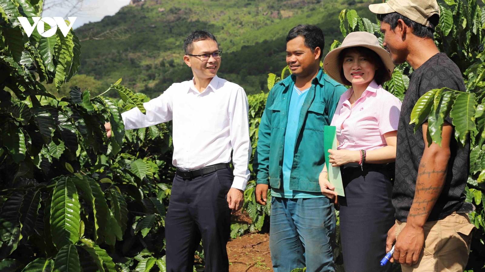 Tín dụng chính sách, “đòn bẩy” thoát nghèo của người dân Gia Lai