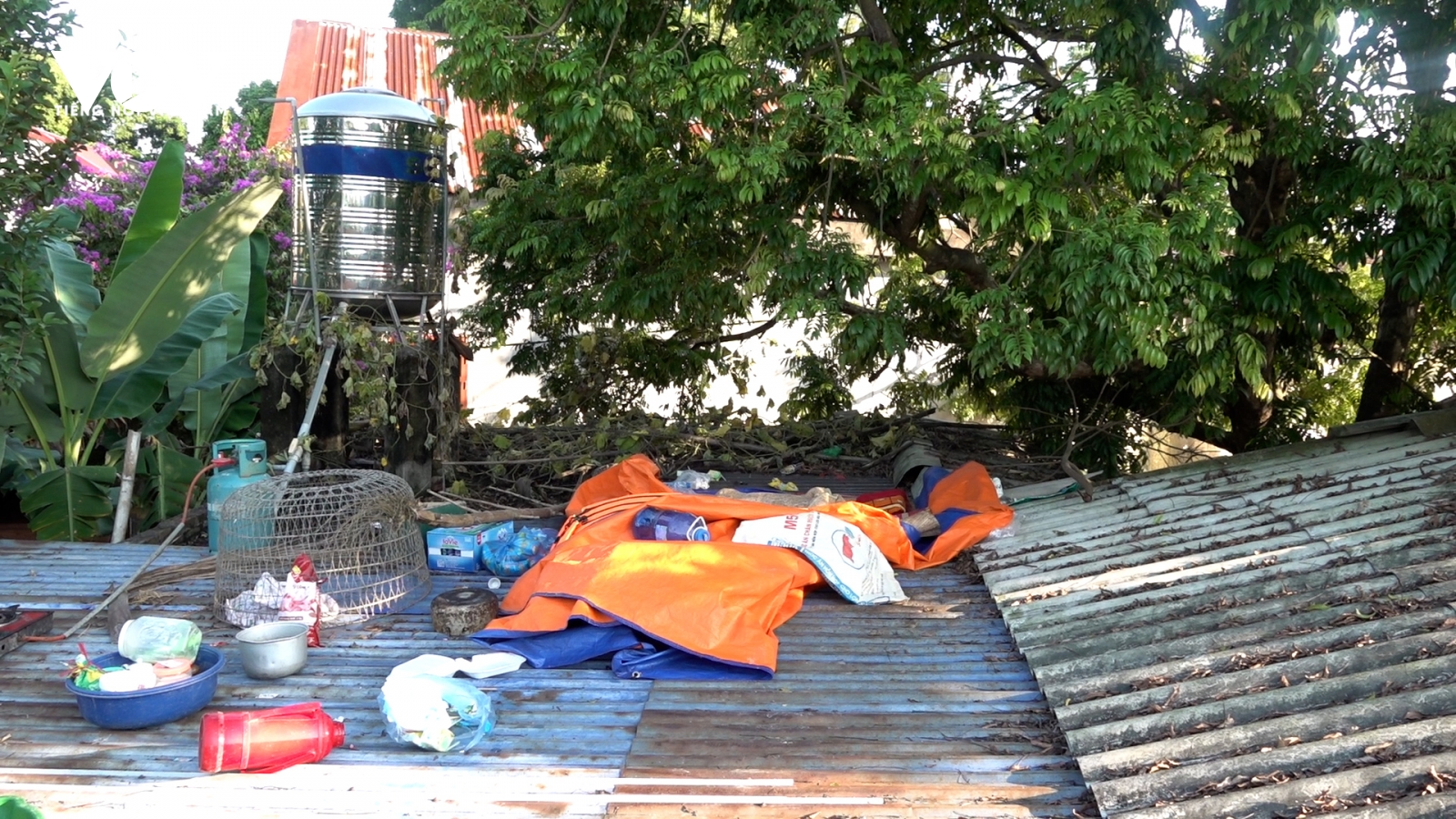 Người đàn ông sống 4 ngày trên mái chuồng lợn chờ nước rút ở Phú Bình, Thái Nguyên