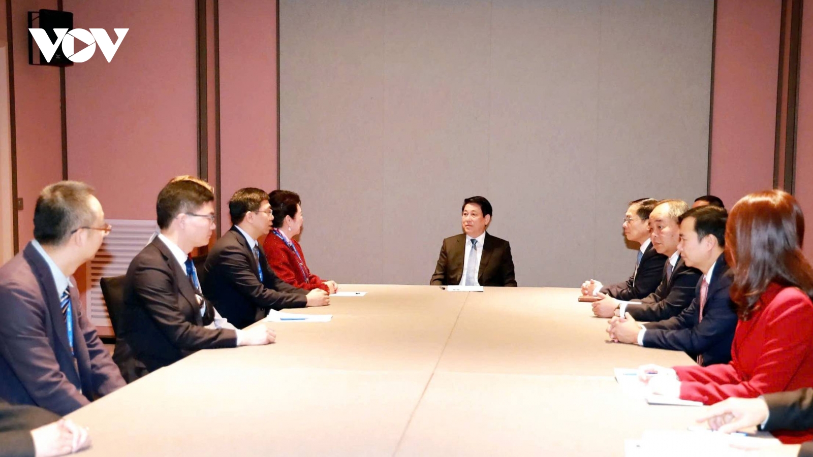 Chủ tịch nước Lương Cường tiếp nhà sáng lập Tập đoàn MEBO International