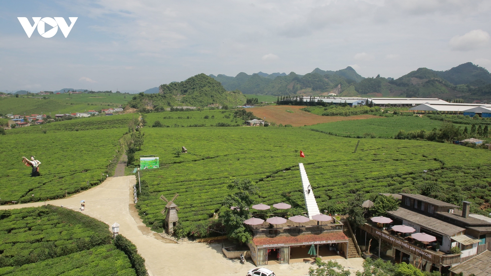 Mộc Châu nhận giải "Điểm đến thiên nhiên cấp địa phương hàng đầu châu Á năm 2025"