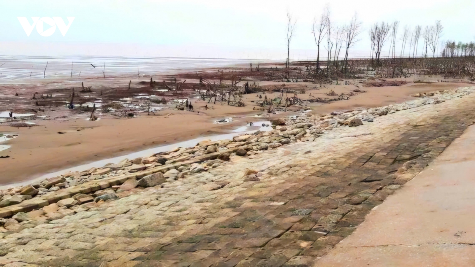 Cần Thơ công bố tình huống khẩn cấp về sự cố sạt lở bờ biển tại xã Vĩnh Hải