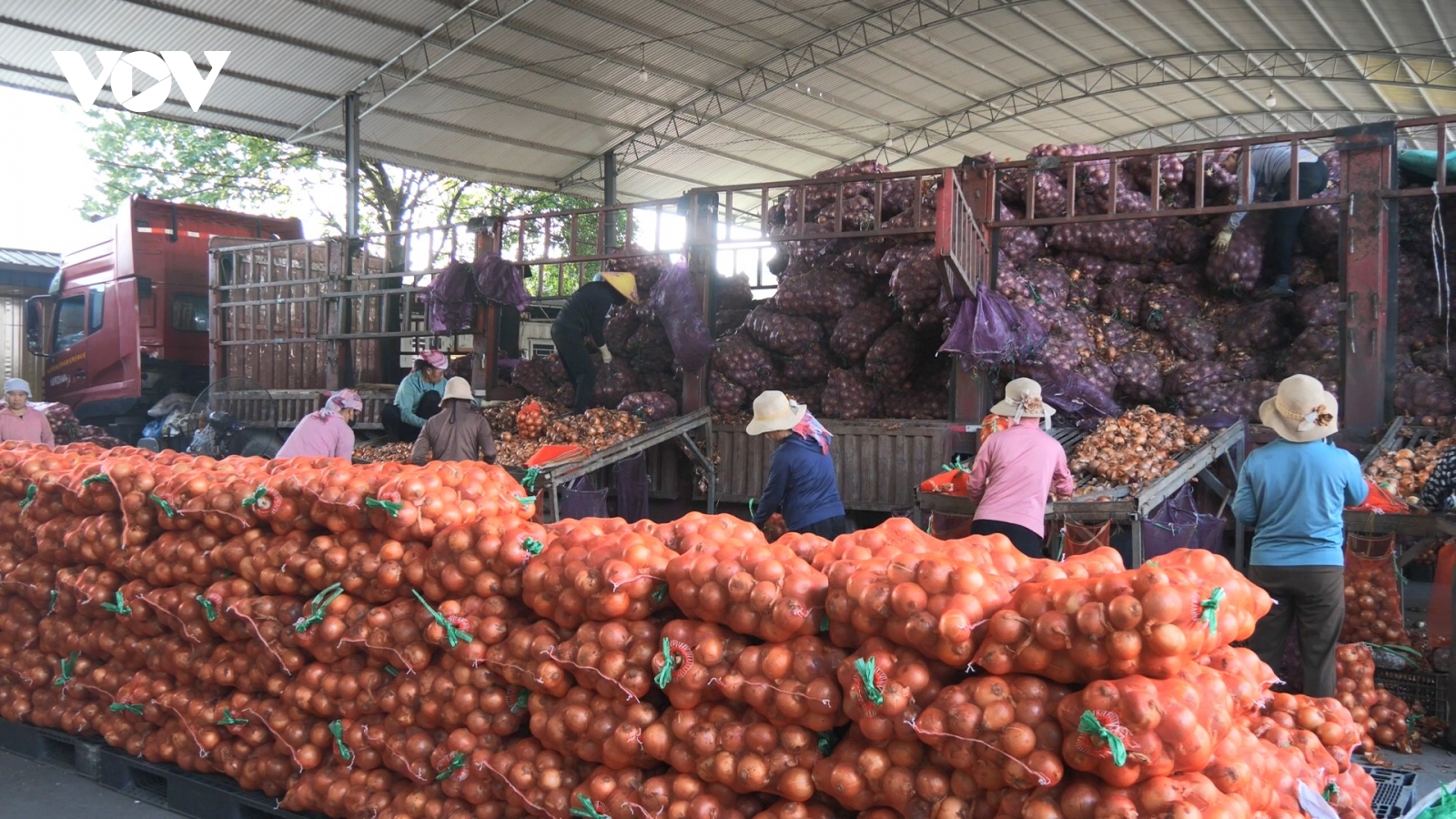 Giao thương nông sản sôi động qua cửa khẩu Kim Thành (Lào Cai)