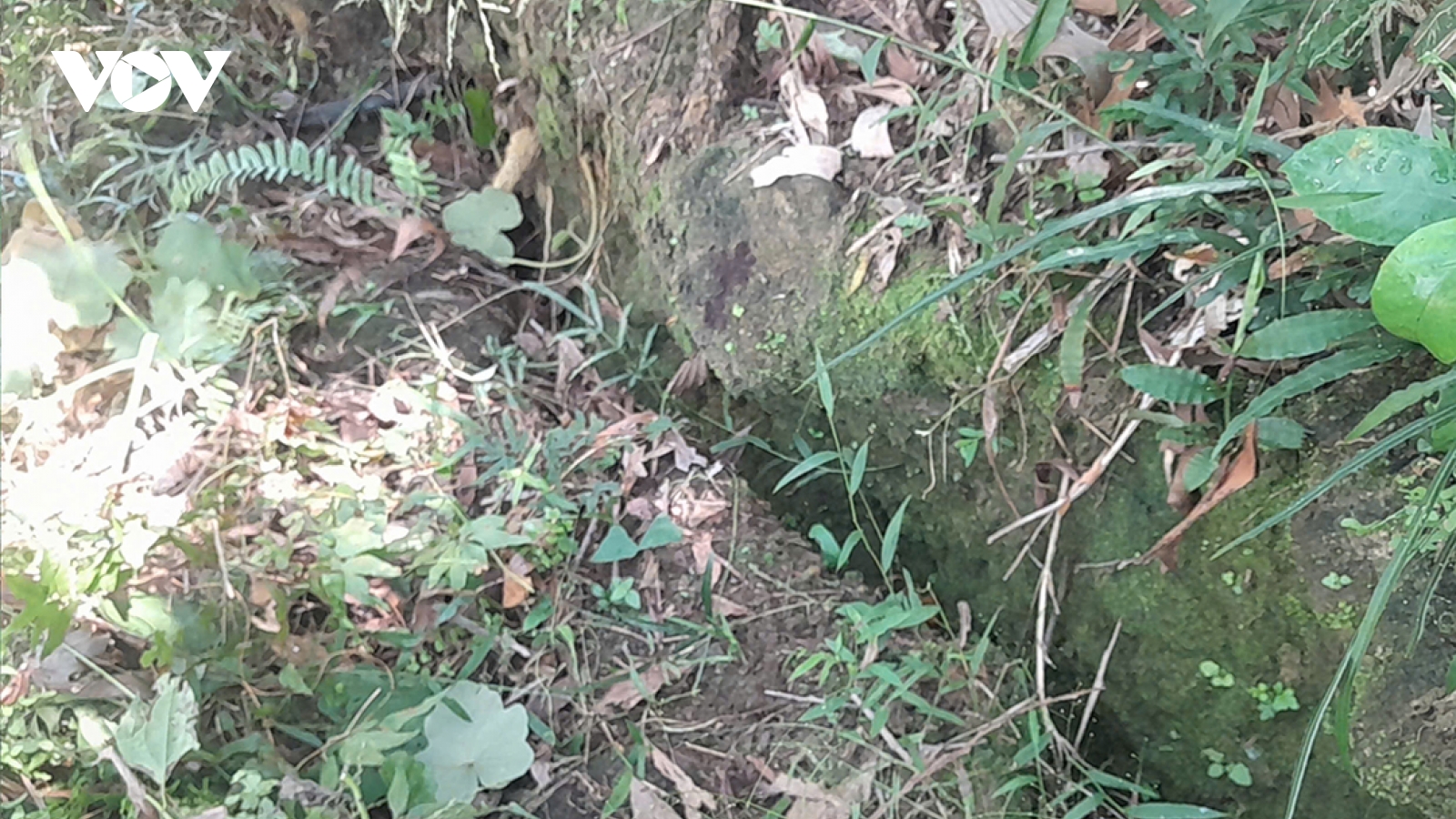 Quảng Ngãi sẵn sàng di dời 61 hộ dân trong khu vực núi bị nứt