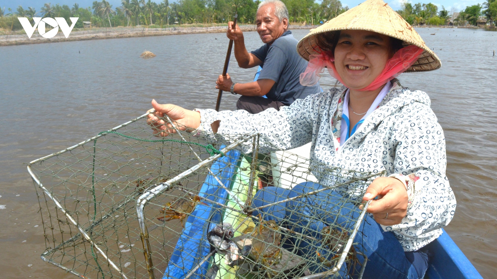 Vì sao cua Cà Mau nức tiếng gần xa?