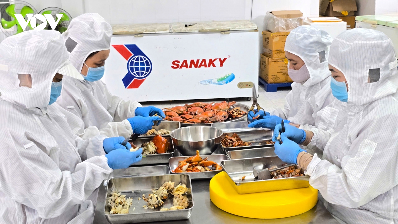 Ngày hội Cua Cà Mau: Nâng tầm sản vật chủ lực để vươn ra quốc tế