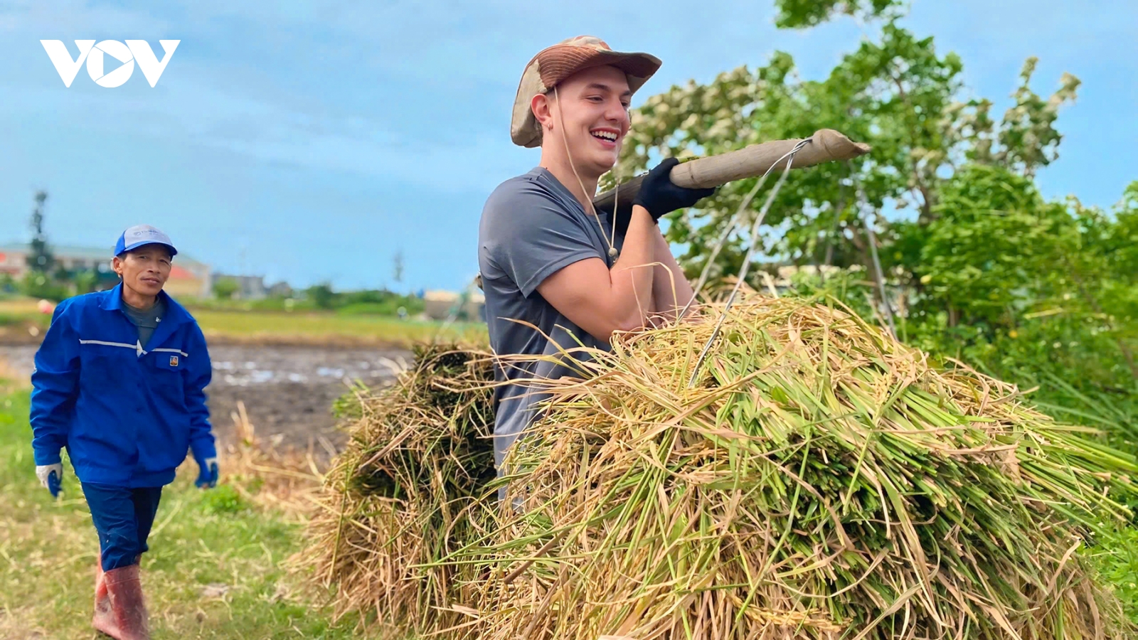 Khách Tây rạng rỡ gặt lúa, đi cày cùng nông dân trên đảo Cô Tô