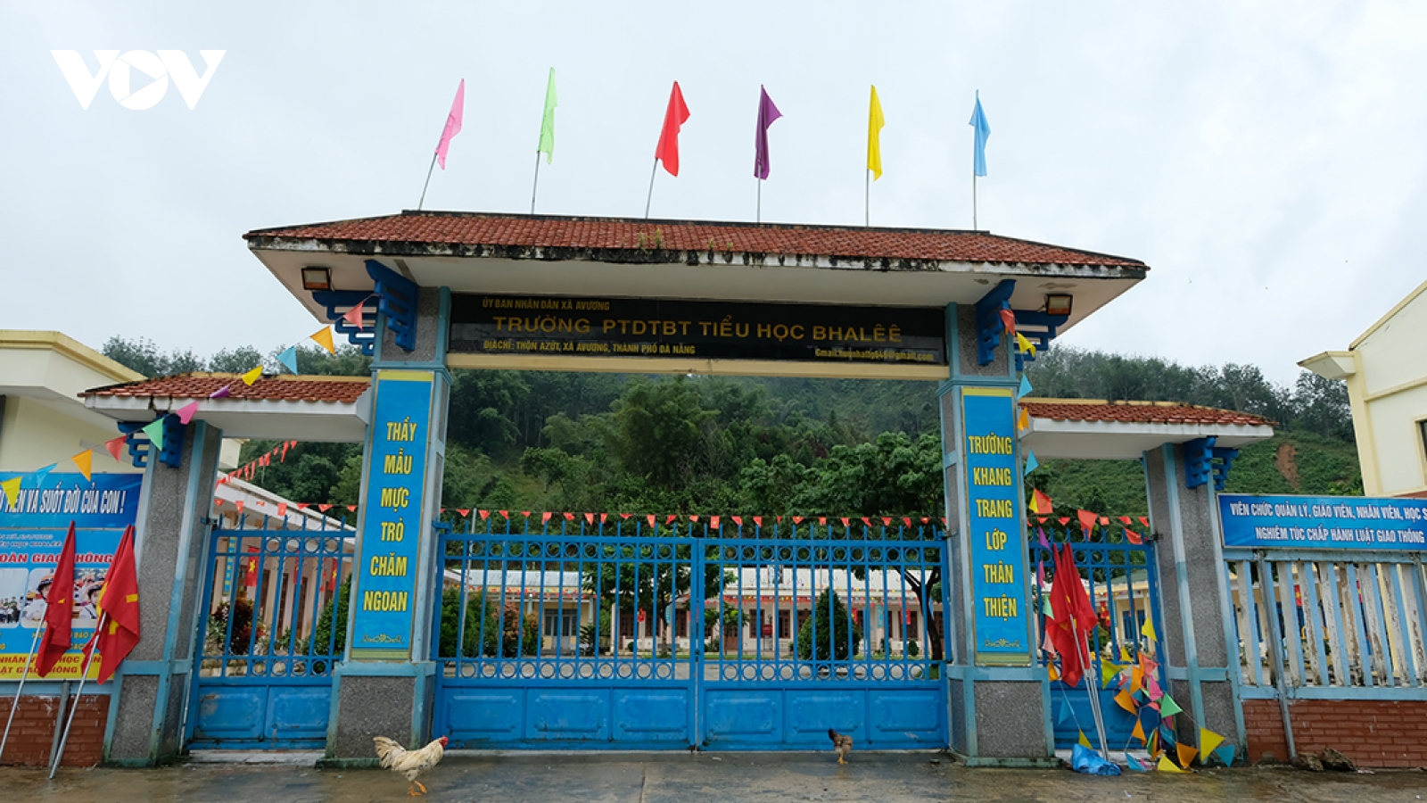 Hoa rừng tặng thầy, cô giáo vùng núi cao Đà Nẵng