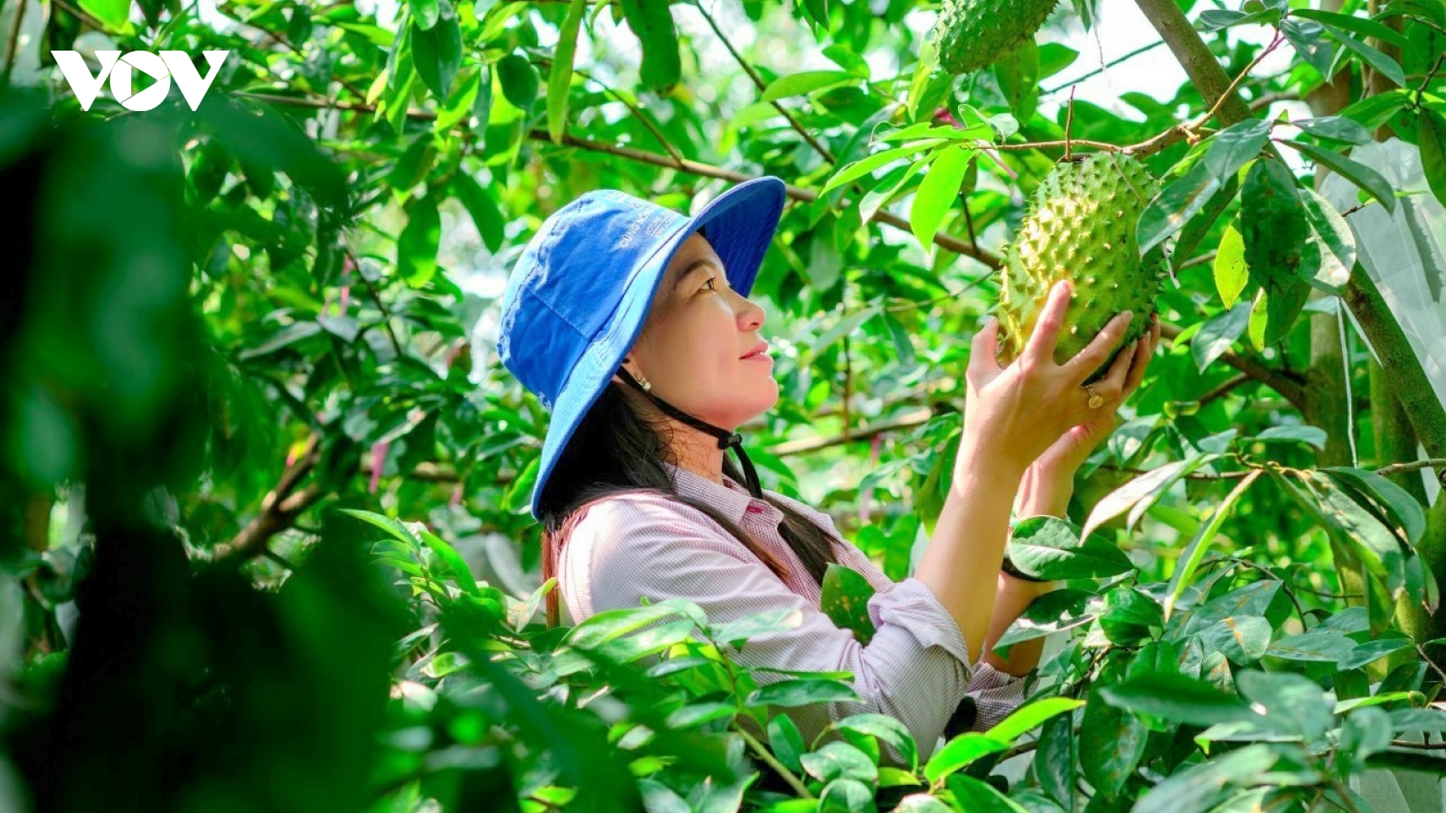 Cách con người lắng nghe và tôn trọng thiên nhiên