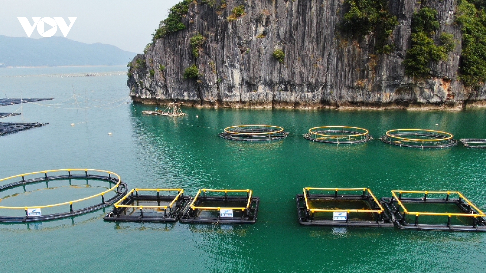 Thúc đẩy nuôi biển vươn ra xa bờ