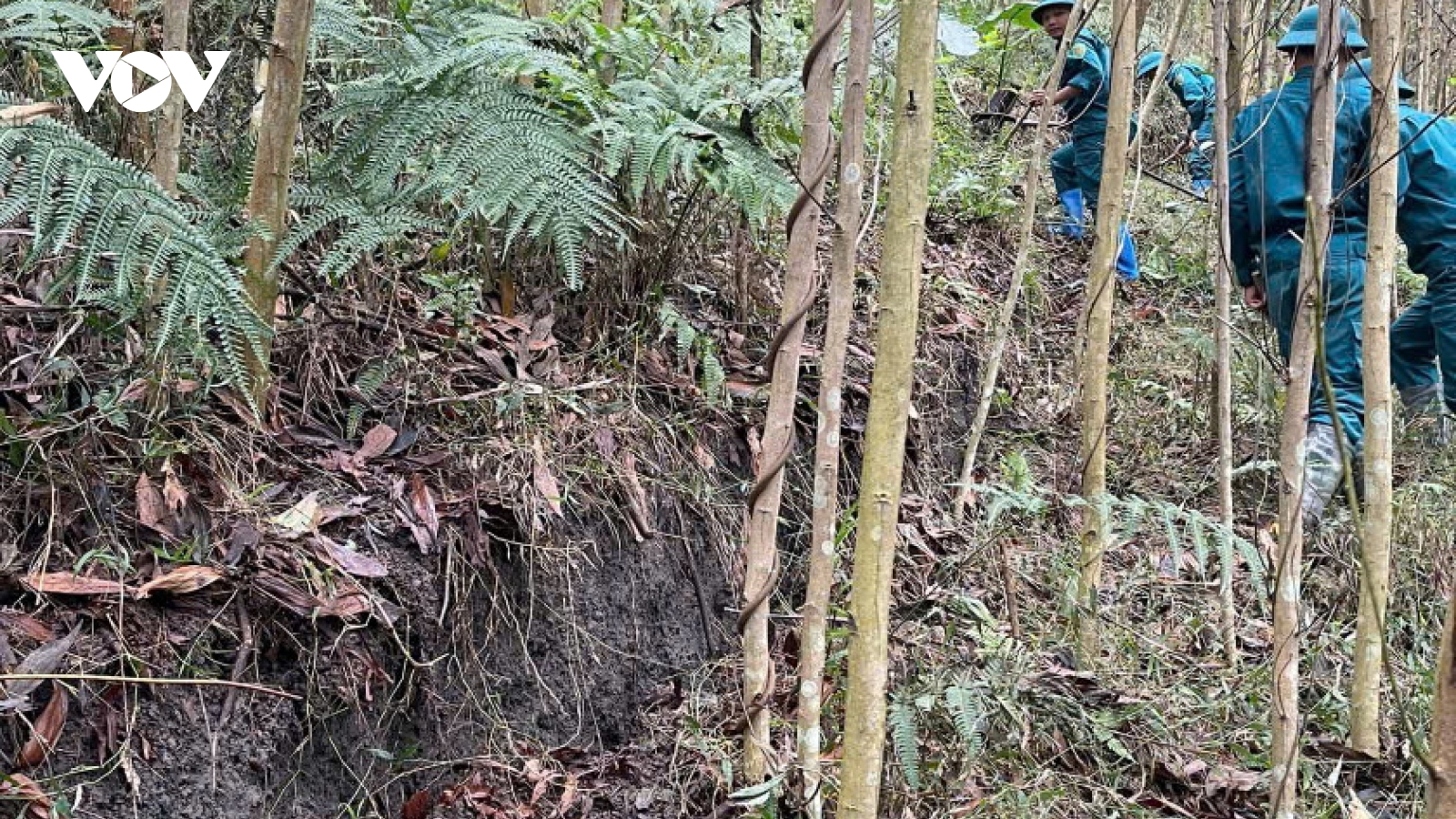 Xuất hiện vết nứt lớn trên đỉnh đồi xã Đắc Pring, Đà Nẵng sơ tán dân khẩn cấp