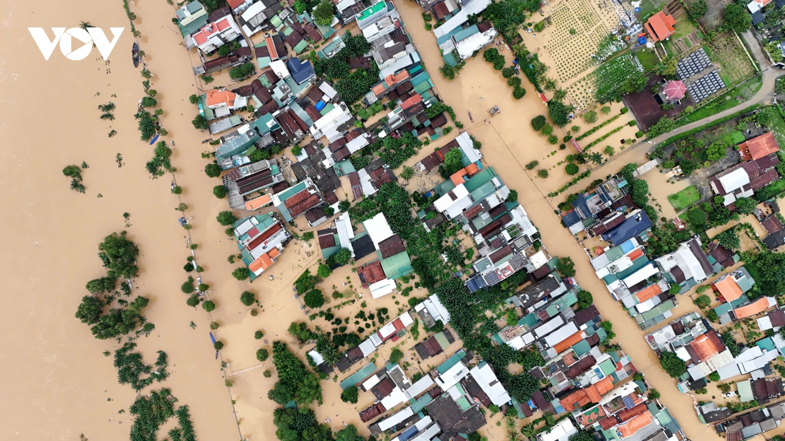 Mưa lũ tại Quảng Ngãi làm 4 người chết, 2 người mất tích, 7 người bị thương