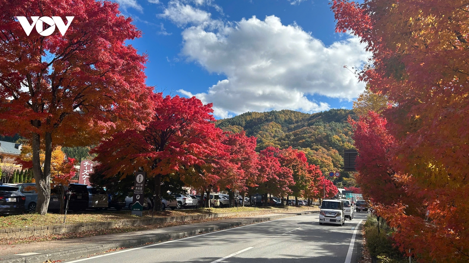 Nhật Bản trải qua ba mùa trong một ngày