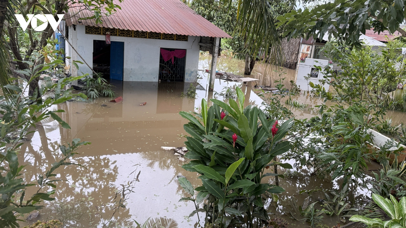 Triều cường dâng cao gây vỡ đê bao Cồn Sơn tại Cần Thơ