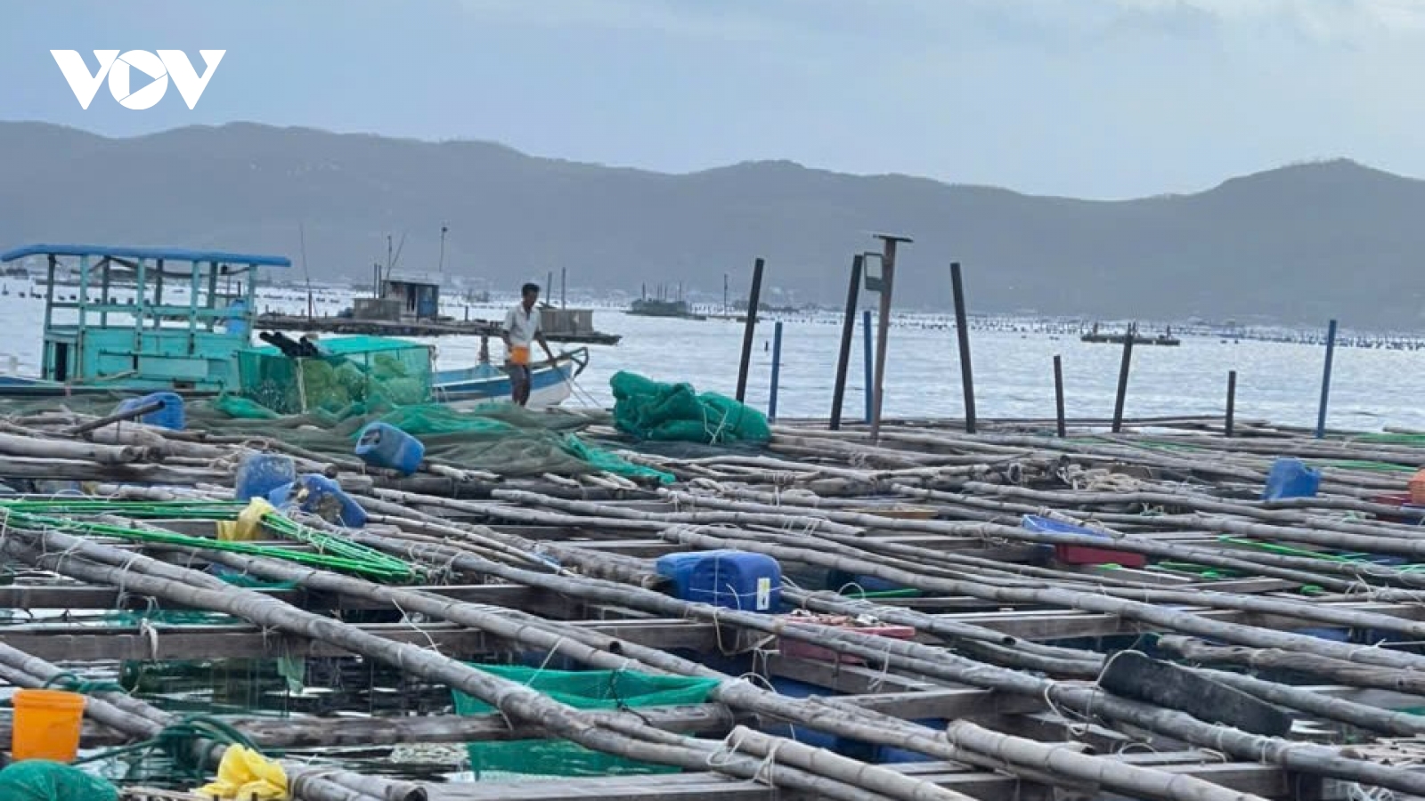 Người nuôi thuỷ sản ở Đắk Lắk khẩn trương khôi phục sản xuất