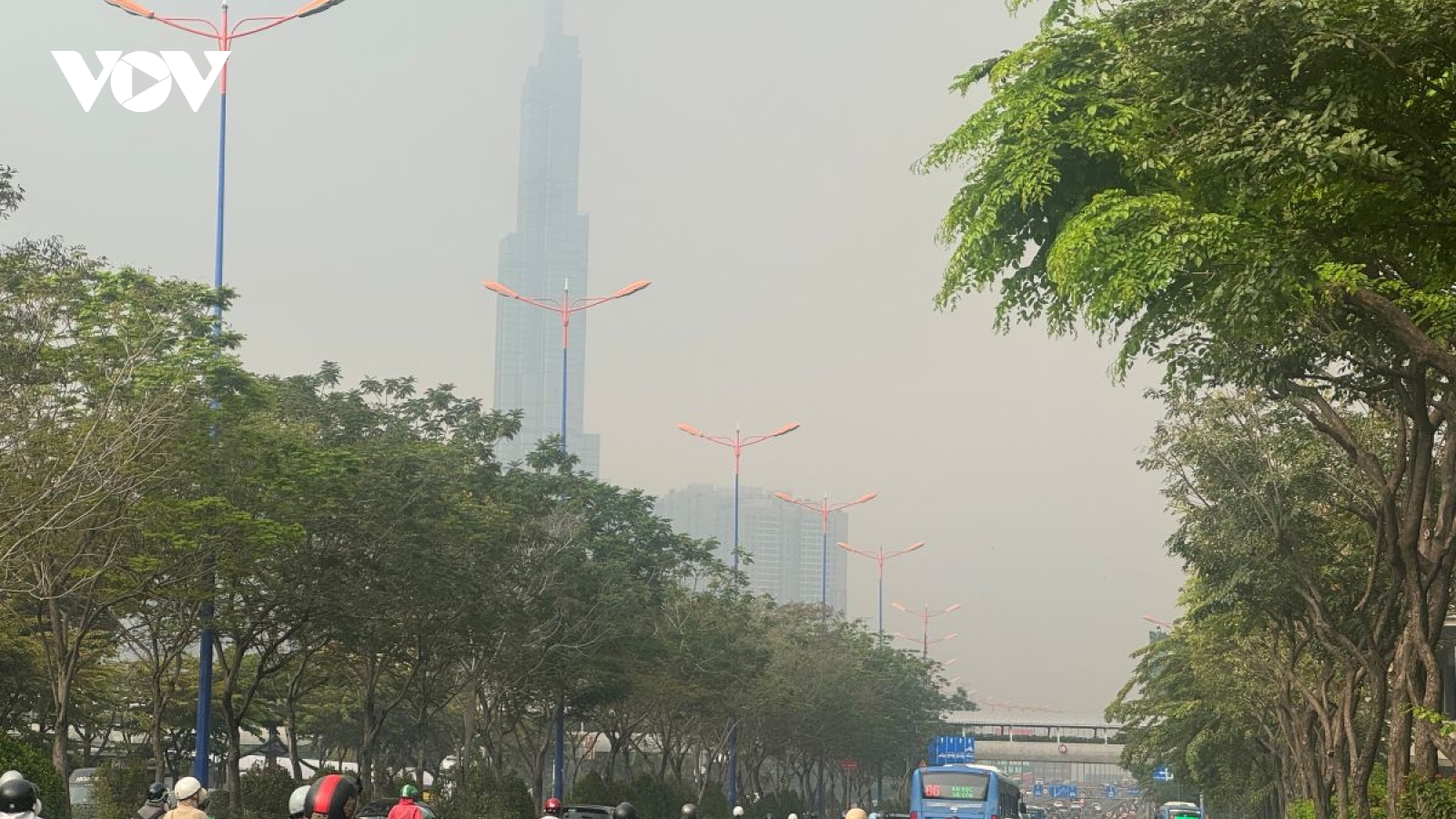 TP.HCM sẽ thu hồi nhiều dự án để phát triển cây xanh