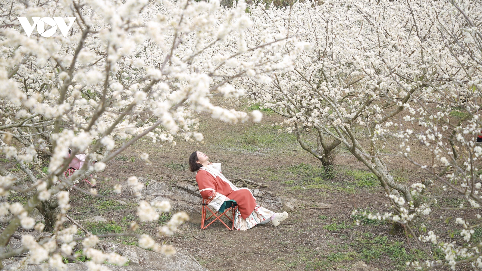 Mộc Châu lần 3 được vinh danh Điểm đến thiên nhiên khu vực hàng đầu thế giới