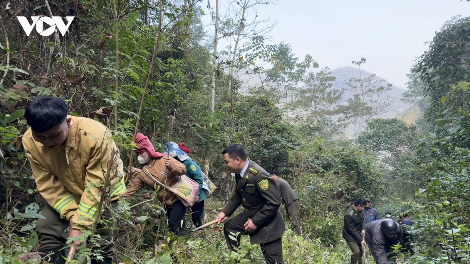 Gần 40.000 chủ rừng ở Sơn La được chi trả dịch vụ môi trường rừng