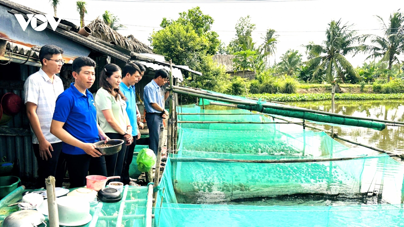 Từ 10 heo nái đến mô hình kinh tế tổng hợp lợi nhuận trăm triệu đồng mỗi năm