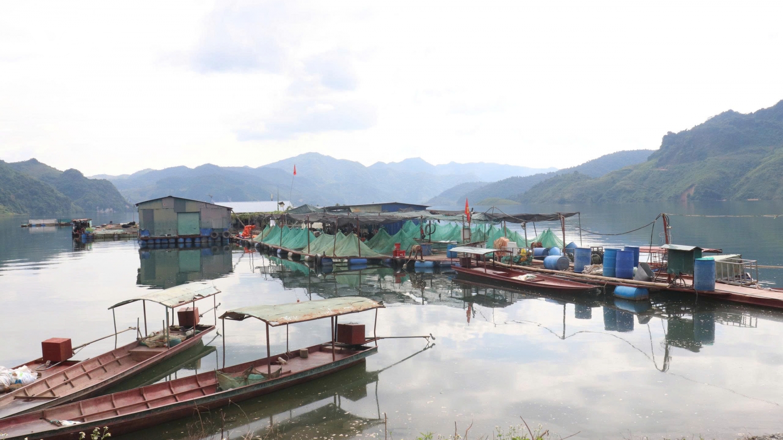 Sinh kế bền vững từ lòng hồ thủy điện Sơn La